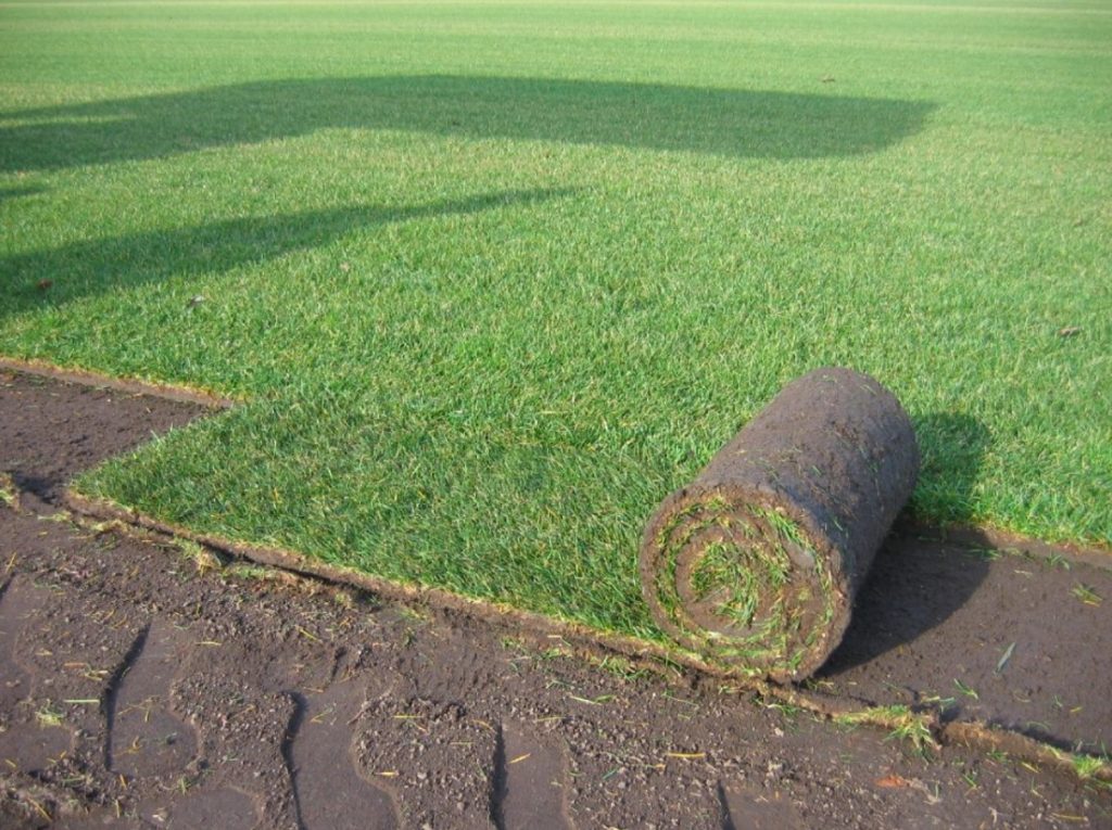 Les Gazons de la Région Parisienne Votre gazon en rouleau en IDF